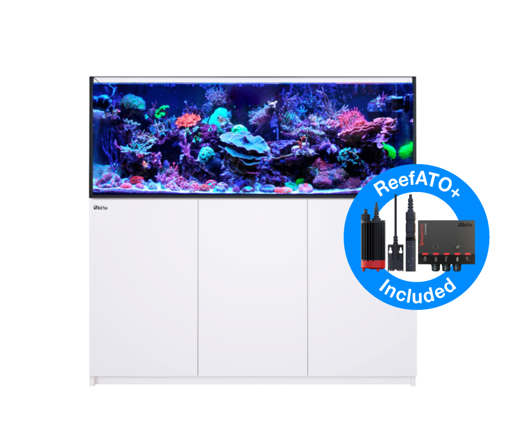 Red Sea Reefer 525 G2+ Meerwasseraquarium Komplettset Red Sea Reefer 525 G2+ Meerwasseraquarium Komplettset